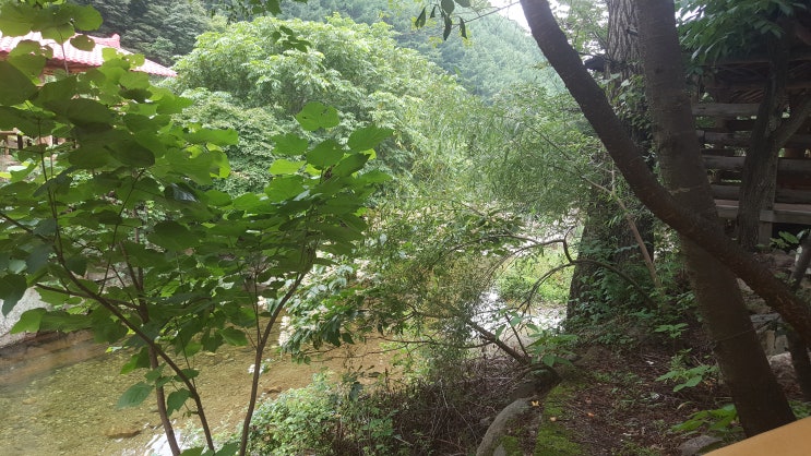  충북 영동 물한계곡 다녀왔습니다.