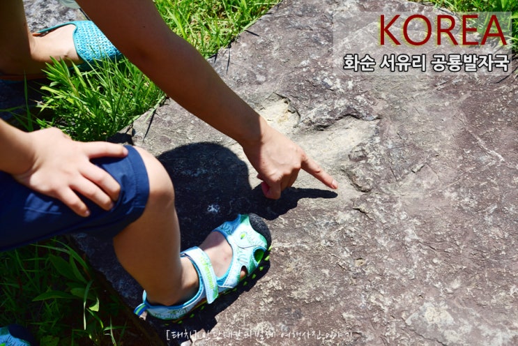  화순 서유리 공룡발자국 화석![전라도여행/화순여행]
