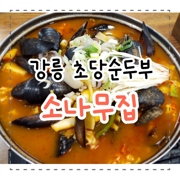  강릉 초당순두부 맛집, 생방송투데이에 방영된 곳 '소나무집'