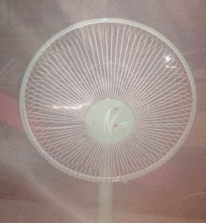  모기장 좋아하는모기. 가려울땐 따뜻한물에 데운 숟가락으로 지지기ㅋㅋ