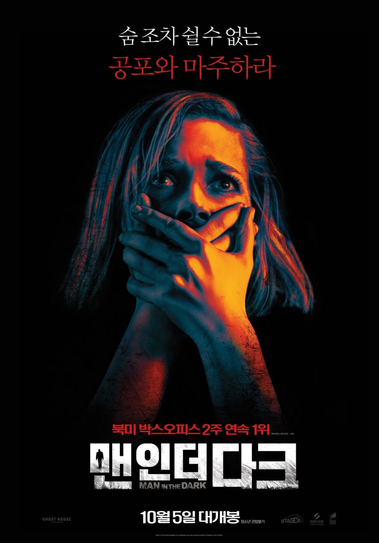 [영화] 맨 인 더 다크 Don't Breathe , 2016