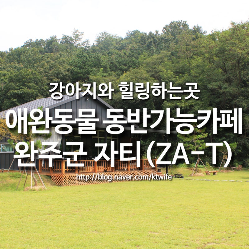 사진 3