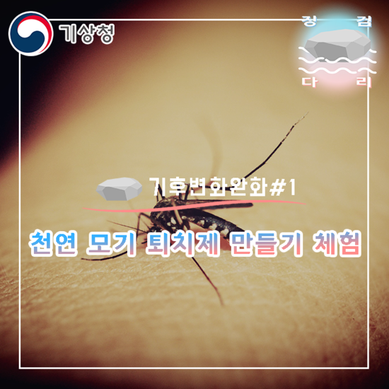  천연 모기 퇴치제 만들기 체험! [기후변화완화#1] 징검다리 기상청 대학생 지역기후변화알림이