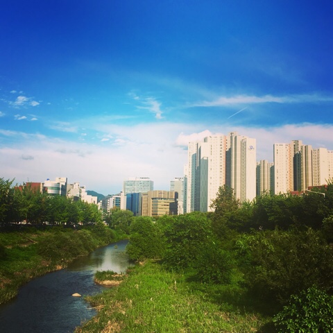 <7세> 소소한 일상