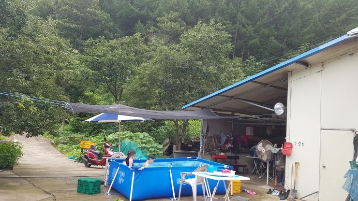  대전 카맥스 코스트코 풀장으로 여름나기~ 대전 브이쿨