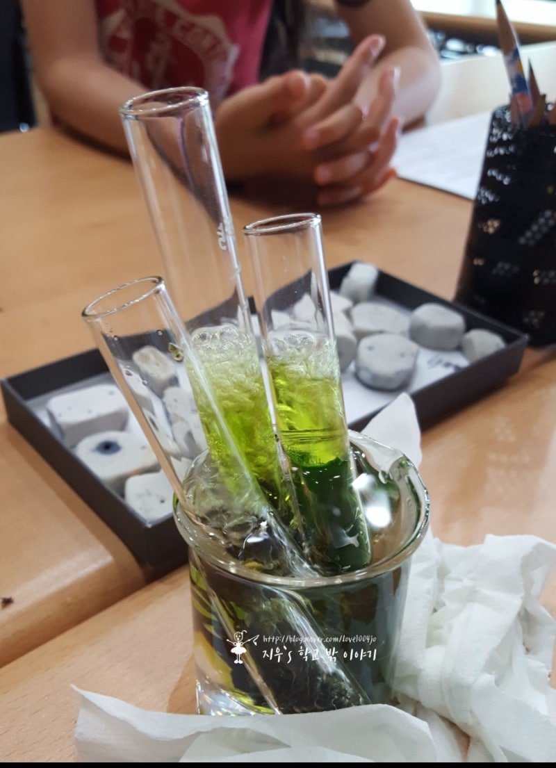 식물등추천) 히포팜텍 식물생장LED 볼램프로 식물키우기(식물등 구입시 확인할 점) : 네이버 블로그, image size:800x1105