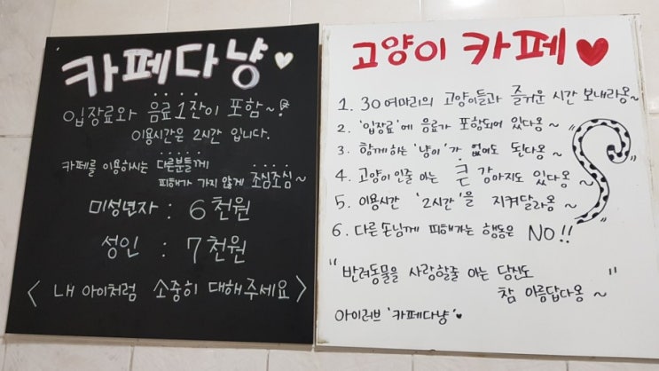  성남 데이트코스고양이카페카페다냥~