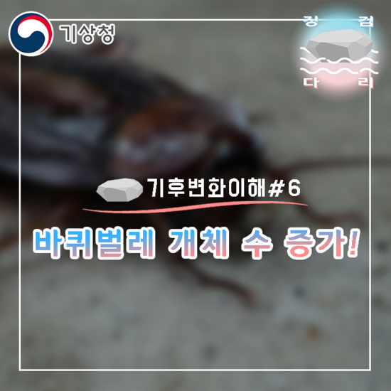 기후변화로 인해 바퀴벌레 개체 수 증가! [기후변화이해#6] 징검다리 기상청 대학생 지역기후변화알림이