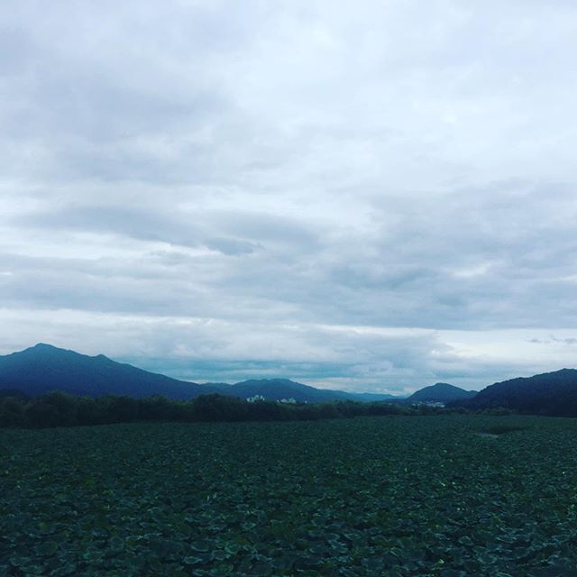  우리가 돈을 모아도 쓸 돈이 없는 이유