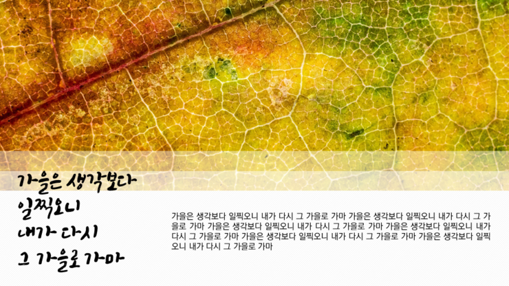  제안서 ppt 디자인 / 발표용 ppt 디자인 / 보고서 파워포인트 디자인/  각종 소개서 pt 제작 