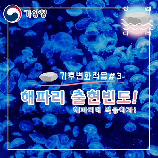  기후변화로 인해 해파리 출현시기 변화와 적응! [기후변화적응#3] 징검다리 기상청 대학생 지역기후변화알림이
