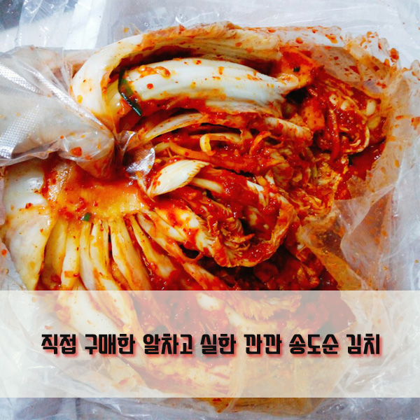  깐깐송도순김치 :: 양념이 가득한 송도순 김치 구매후기