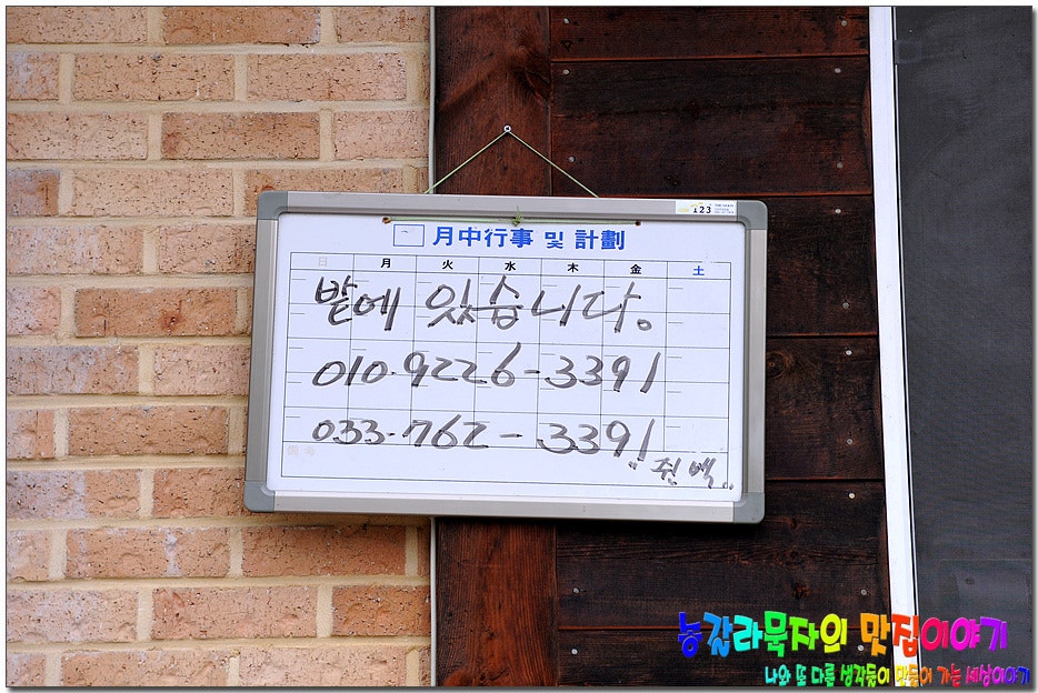 다그라스통나무민박 사진 3