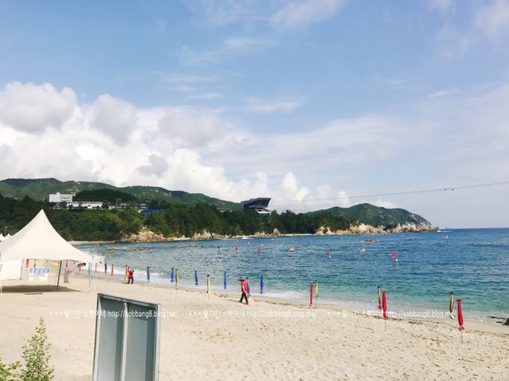  삼척 장호항 장호해수욕장 2박3일 여름이야기