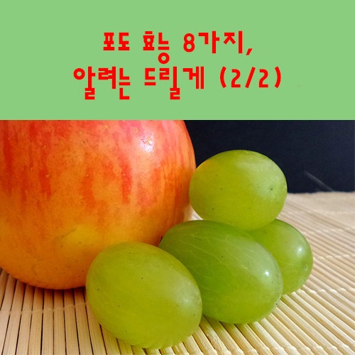 포도 효능 8가지, 알려는 드릴게 (2/2) : 네이버 블로그