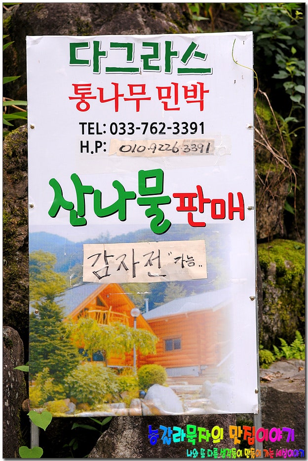 다그라스통나무민박 사진 1