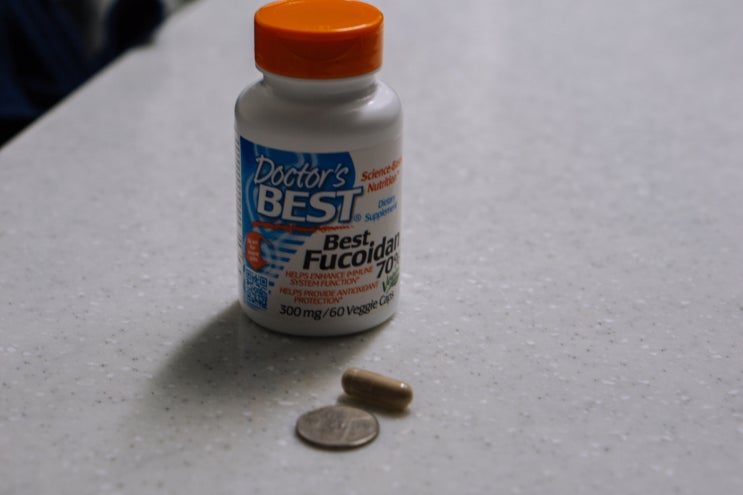  [아이허브 해외 직구] Doctor's Best Fucoidan 70% 300mg