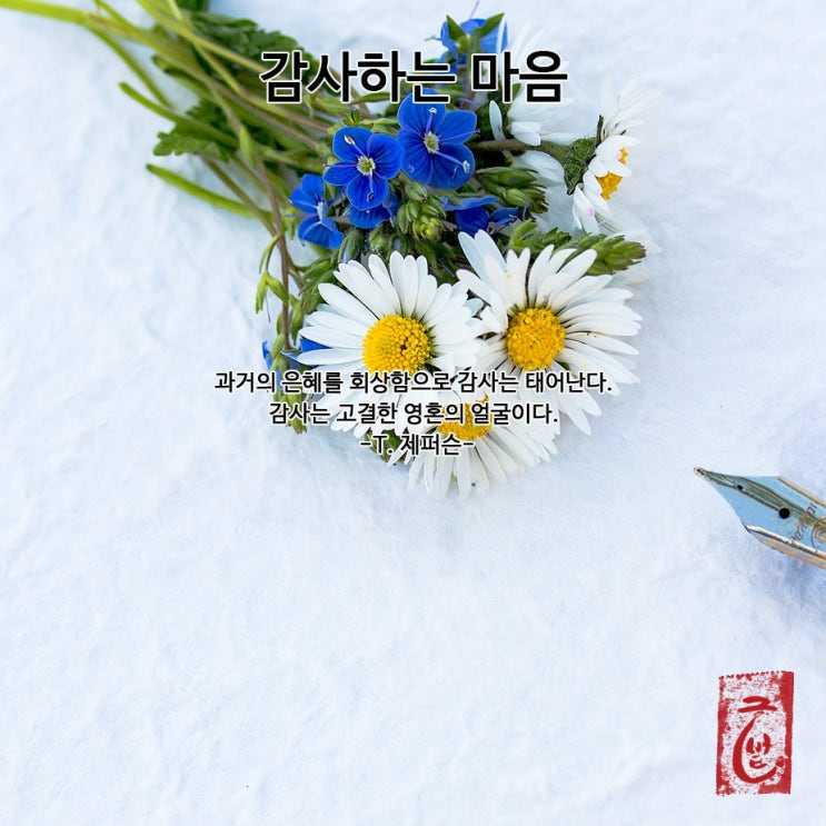  짧은 인생 명언 감사 글귀 감사 명언 모음