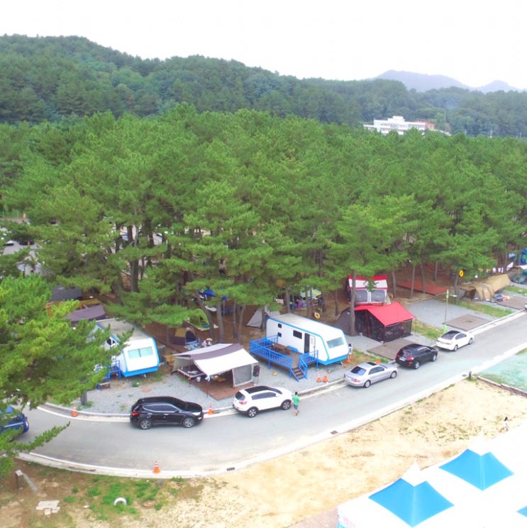  울진 구산해수욕장 근처 오토캠핑장 솔직후기