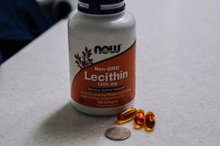  [아이허브 직구] Now Foods Lecithin 1200mg