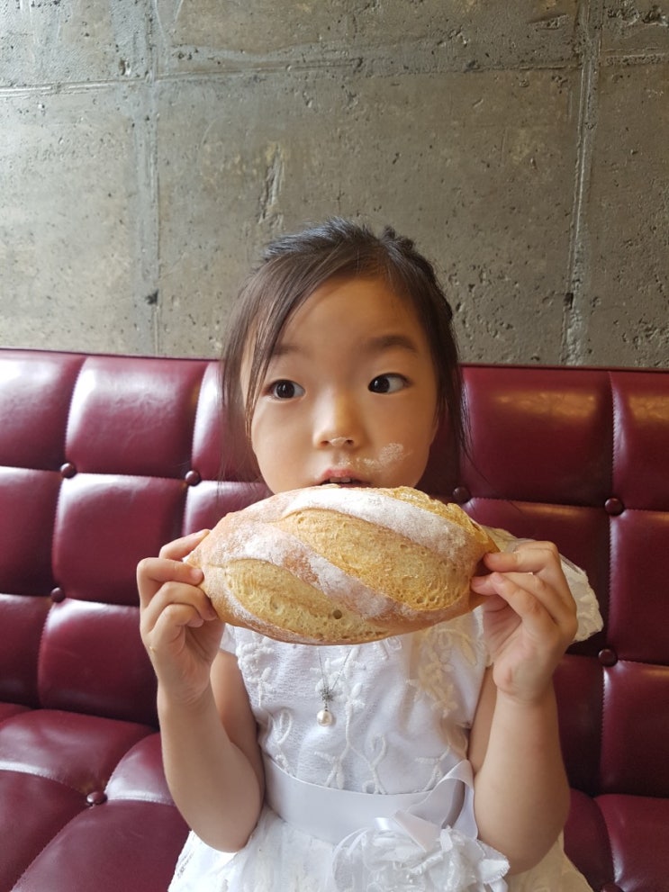 서귀포 맛있는빵집 채점석베이커리 아니 파파리오