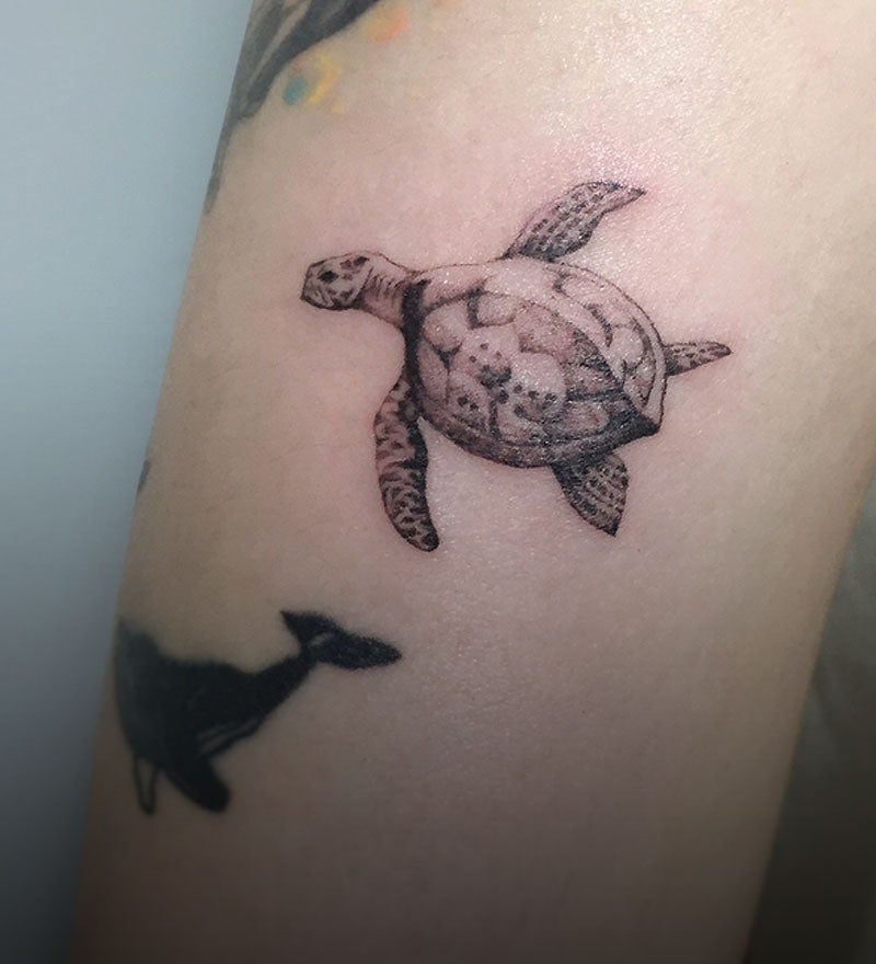 간단한 바다거북 문신