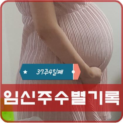 각 임신의 증상 29-32 주간 주간 기록 임산부 1