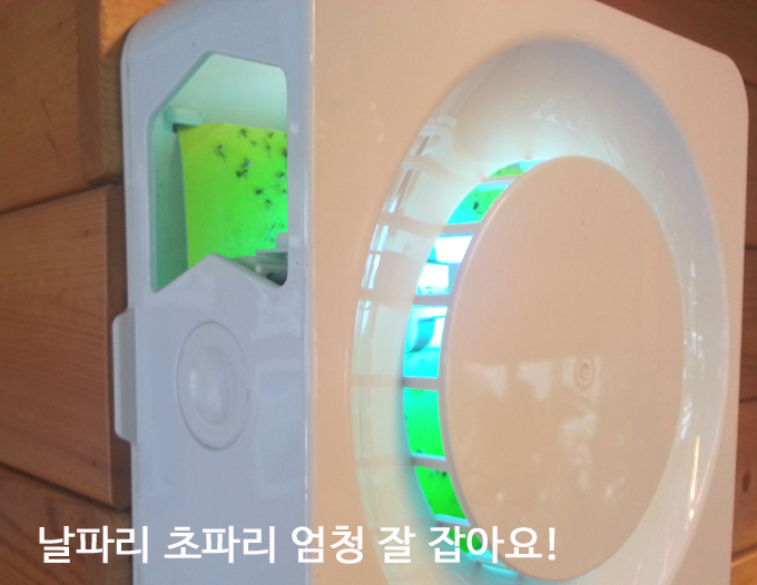  날파리 없애는법 이건 어때요? 엠트랩플러스
