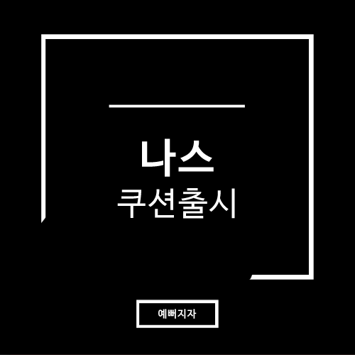 나스 쿠션 색상 비교