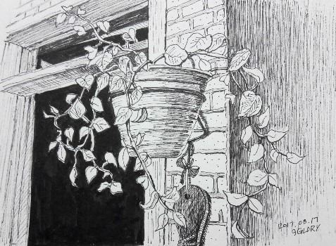  그림공부:어반 스케치(Urban sketch)t 식물잎 화분 풍경