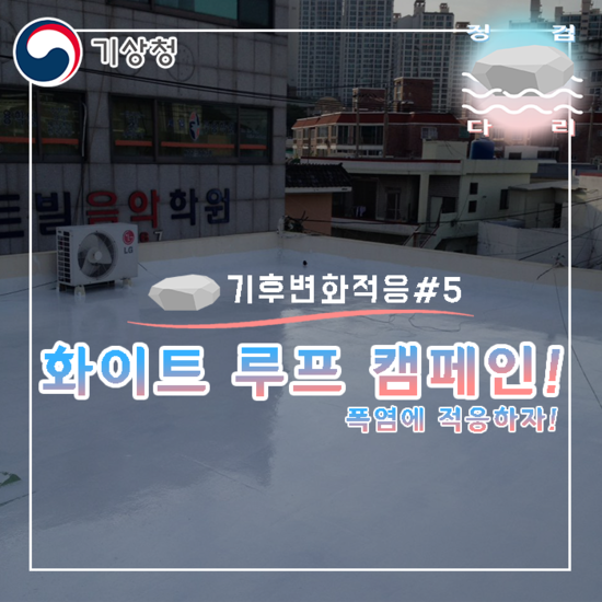  화이트 루프 캠페인! [기후변화적응#5] 징검다리 기상청 대학생 지역기후변화알림이