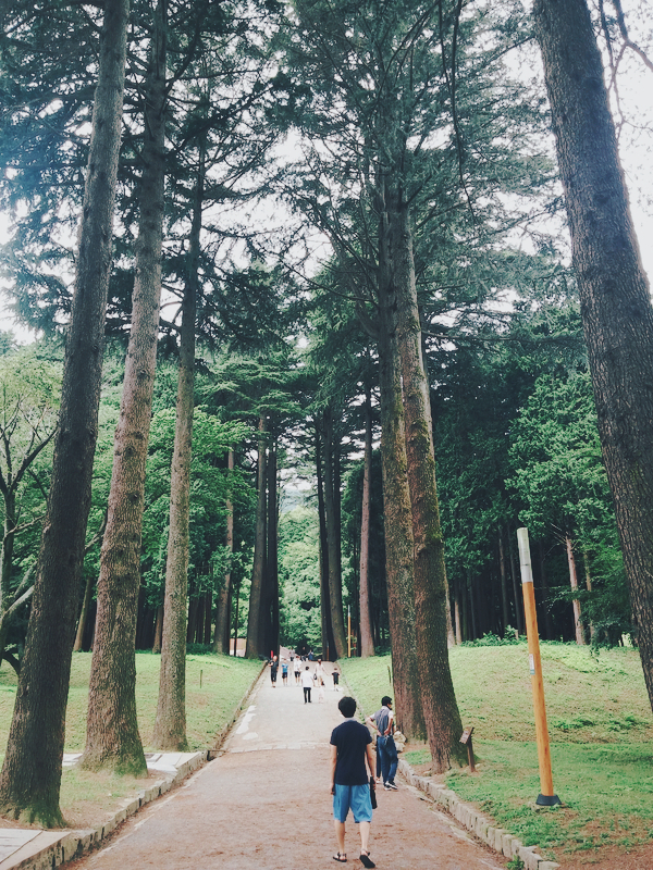  양산 법기수원지