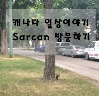 캐나다에서의 일상 # sarcan 이용방법!
