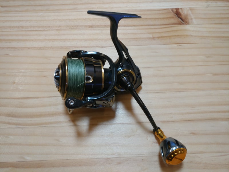 DAIWA THEORY 3012 厳しく