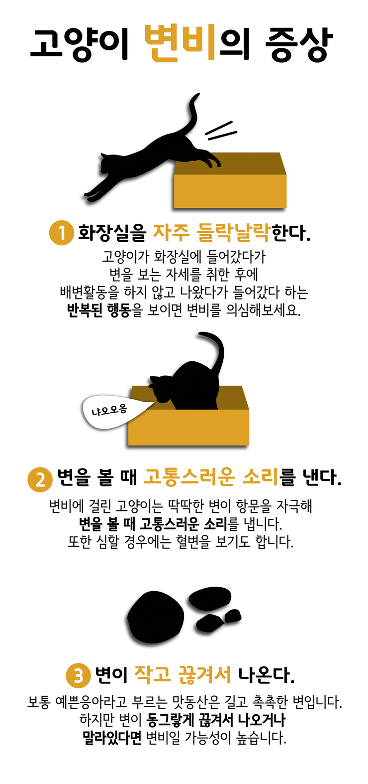 새끼고양이 변비 스트레스가 원인일까?