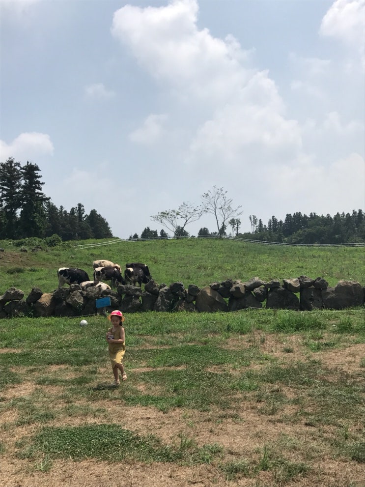 2017 여름제주
