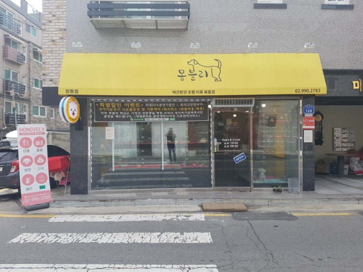  노원애견분양 몽블리펫샵
