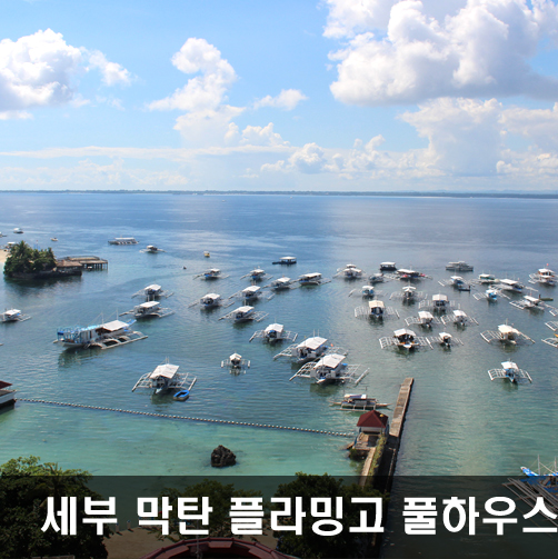  세부여행 세부막탄 플라밍고 키즈펜션