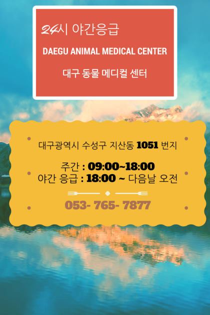 대구 정형외과 어깨병원 강아지 고민 50 대구 정형외과 어깨병원 강아지 고민 50
