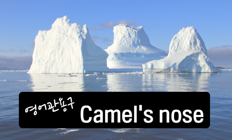  영어관용구 Camel's nose 빙산의 일각