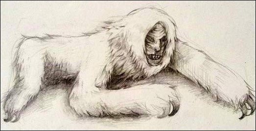  공포 이야기 / 무서운이야기 / 공포실화 모음 136 [장산범]