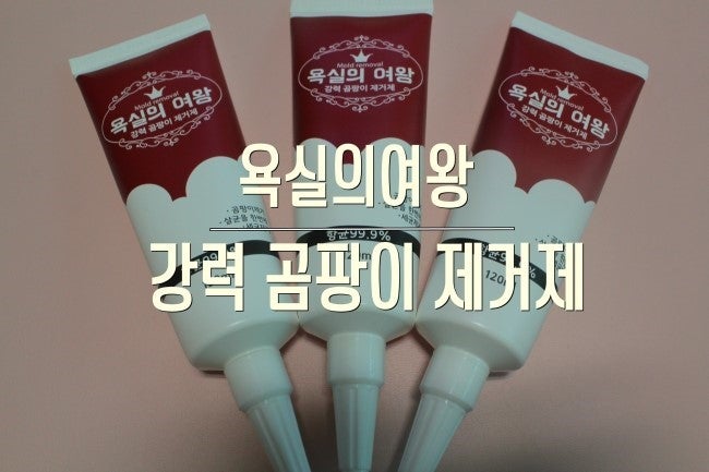 욕실의여왕곰팡이젤 욕실 곰팡이 냄새없이 제거했어요