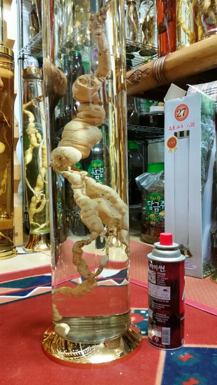 백하수오 효능과 차 먹는법 [말린 4