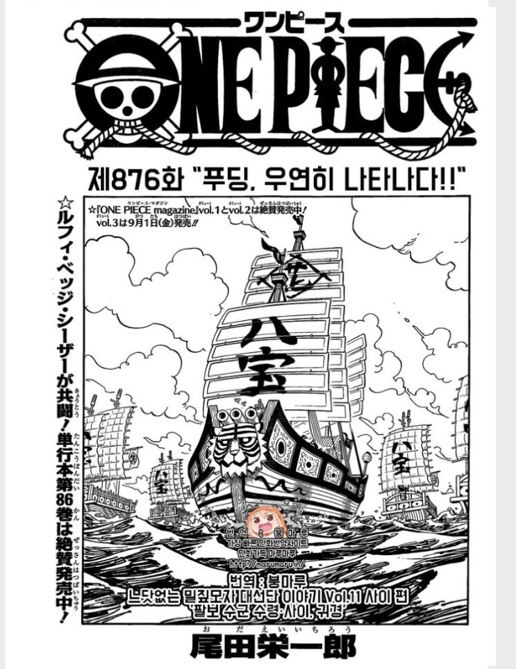  원피스 876화 번역 리뷰