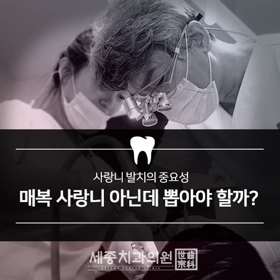 부산사랑니치과 세종치과의 안전하고 체계적인 사랑니 발치 5