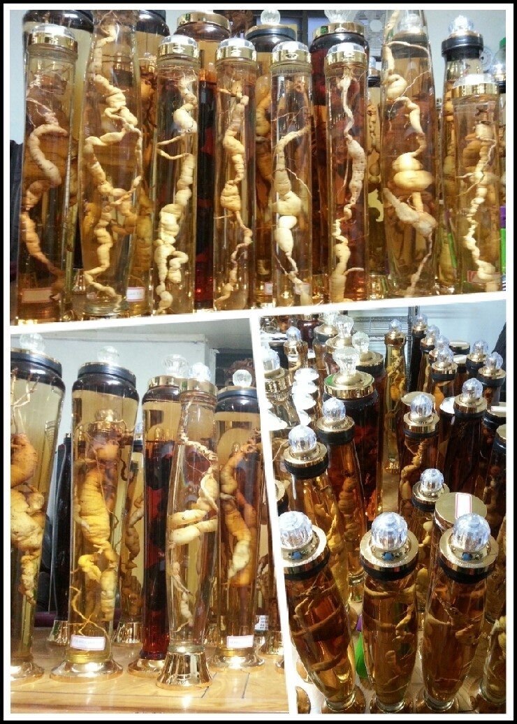 백하수오 효능과 차 먹는법 [말린 7