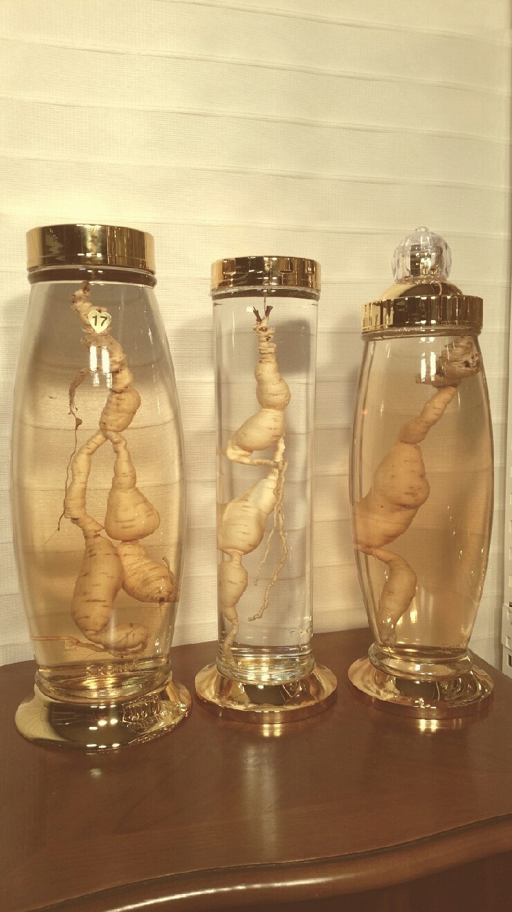 백하수오 효능과 차 먹는법 [말린 3