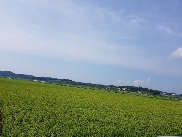  청주소상공인대학 사진 강의