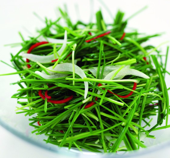 정력에 좋은 약초가 변한 남편? 7