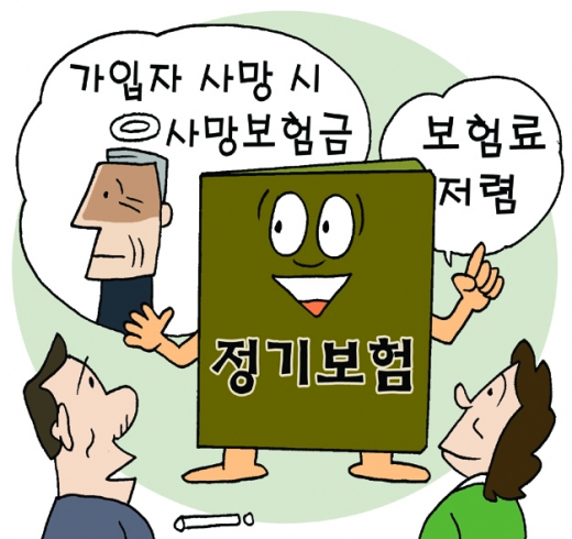 [경제 알지 못해도 쉬워요] 종신보험처럼 사망보험금 지급…보장기간 선택한다는 점 달라요 